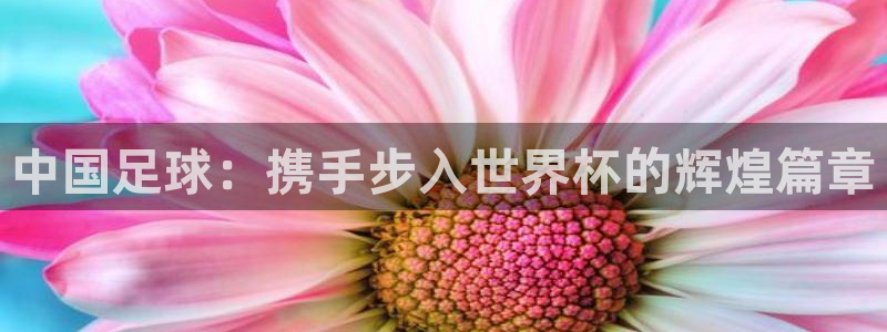 世界杯赛程表:中国足球:携手步入世界杯的辉煌篇章
