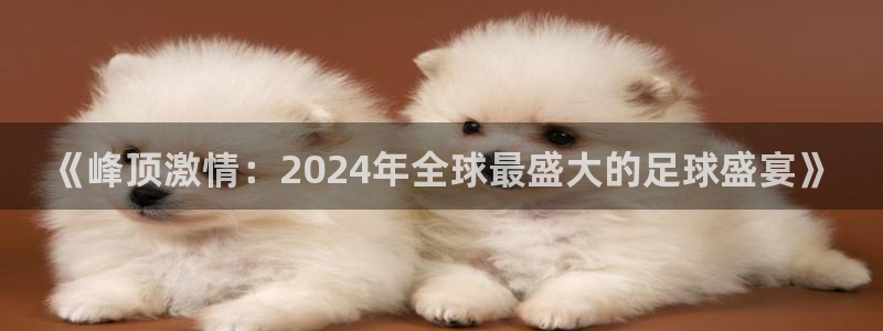 世界杯预选赛亚洲区赛程:《峰顶激情:2024年全球最盛大的足球盛宴》
