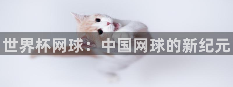 美国世界杯:世界杯网球:中国网球的新纪元