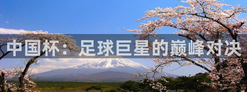 2026世界杯南美区积分榜:中国杯:足球巨星的巅峰对决